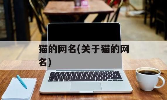 与猫有关的网名,好听的带猫字的网名女生图3