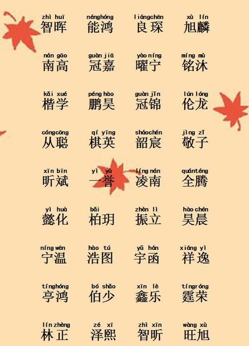 名字带豪的女孩名字,取后面是豪字的名字大全女孩图3