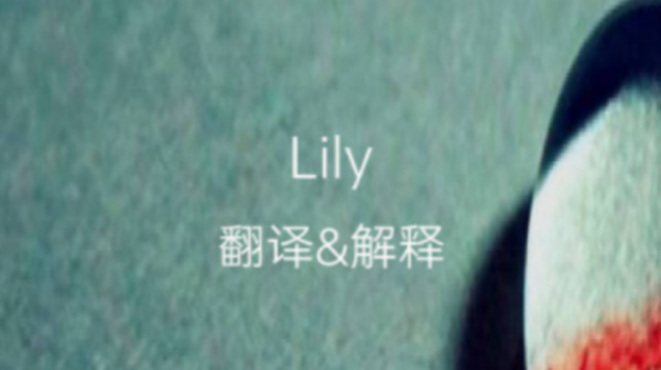 lily英文名字的含义,Li|y人名什么意思图1