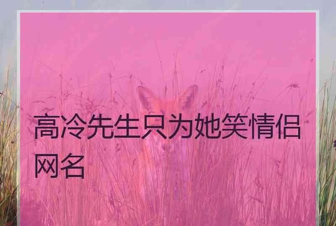 高冷情侣网名,高冷情侣网名图4