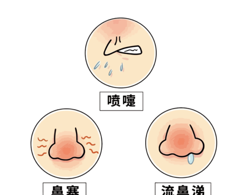 鼻子名字的由来,“鼻”的部首是什么结构是什么图2