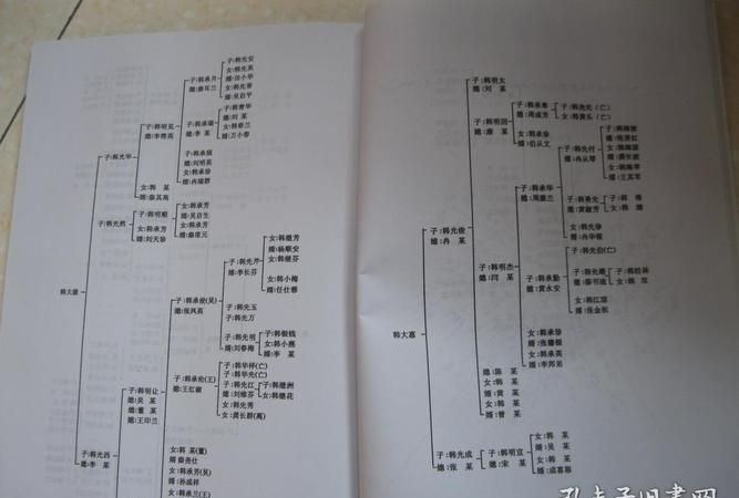 字辈名字大全免费查询,才字辈的好听男孩名字有哪些图1