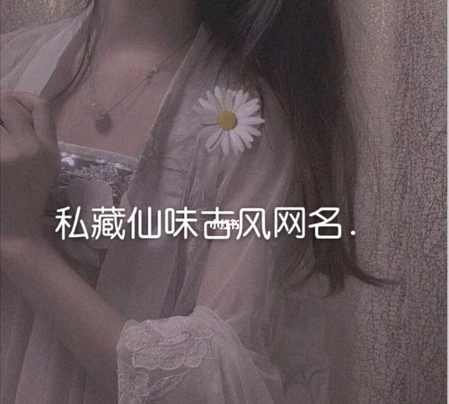 年纪大的网名,适合中年女人用的网名图1