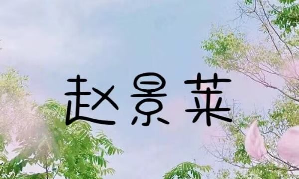 赵的名字男孩,姓赵的男孩名字两个字图3