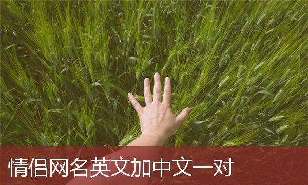 优雅英文网名,清新脱俗有仙气的英文网名图3