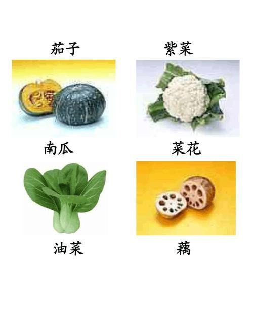 全部蔬菜的名字,蔬菜的名字有哪些图3