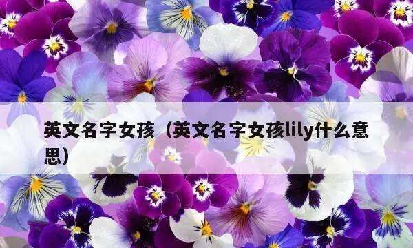 怎么取英文名字才正确,英文名要怎么取才好听图4