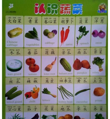 蔬菜的名字大全,蔬菜名称大全图10