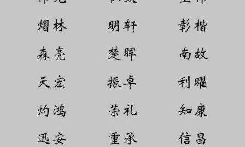 207名字,207属鸡男孩最吉利的名字是什么图3