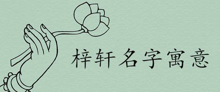 带轩字名字的含义,轩字取名的寓意是什么意思是什么图3