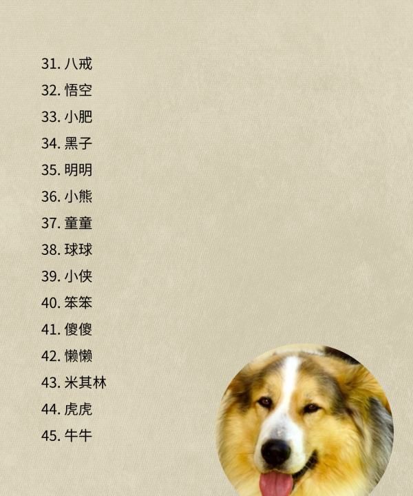 可爱狗的名字,00个好听到爆的狗狗名字图4