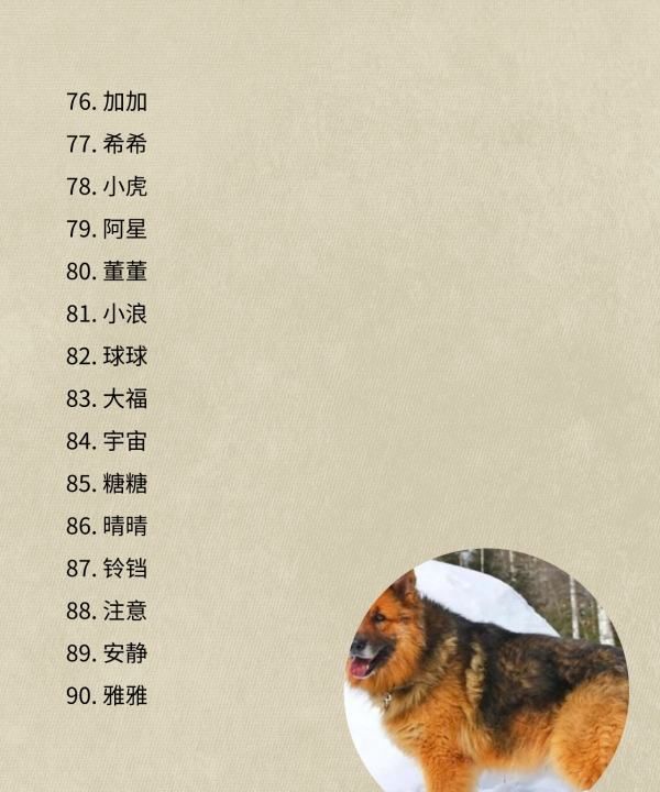 可爱狗的名字,00个好听到爆的狗狗名字图7