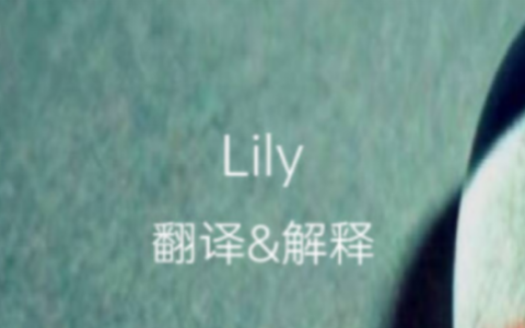 lily英文名字的含义,Li|y人名什么意思