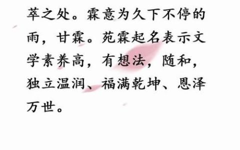 护理名字霸气押韵,什么都做的公司怎么起名