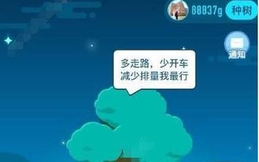 合种爱情树的昵称,爱情树合种成功证书