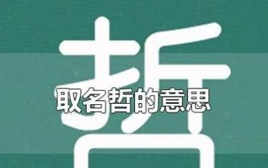 哲名字的含义,姓名中一的意思和含义是什么